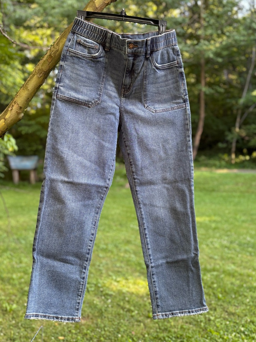 Sincerely Jules Blue Denim Jeggings
